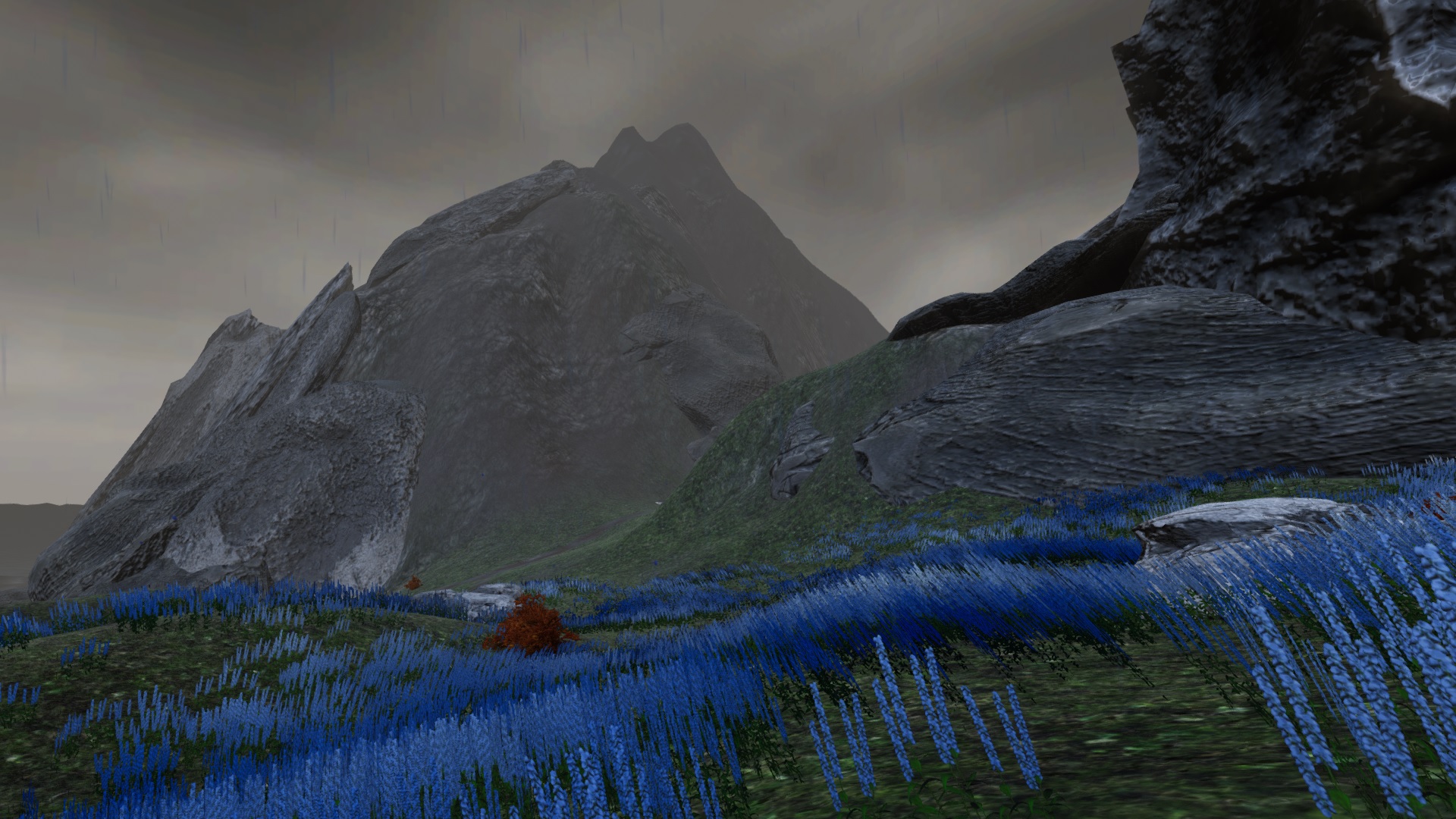 a field with blue flowers